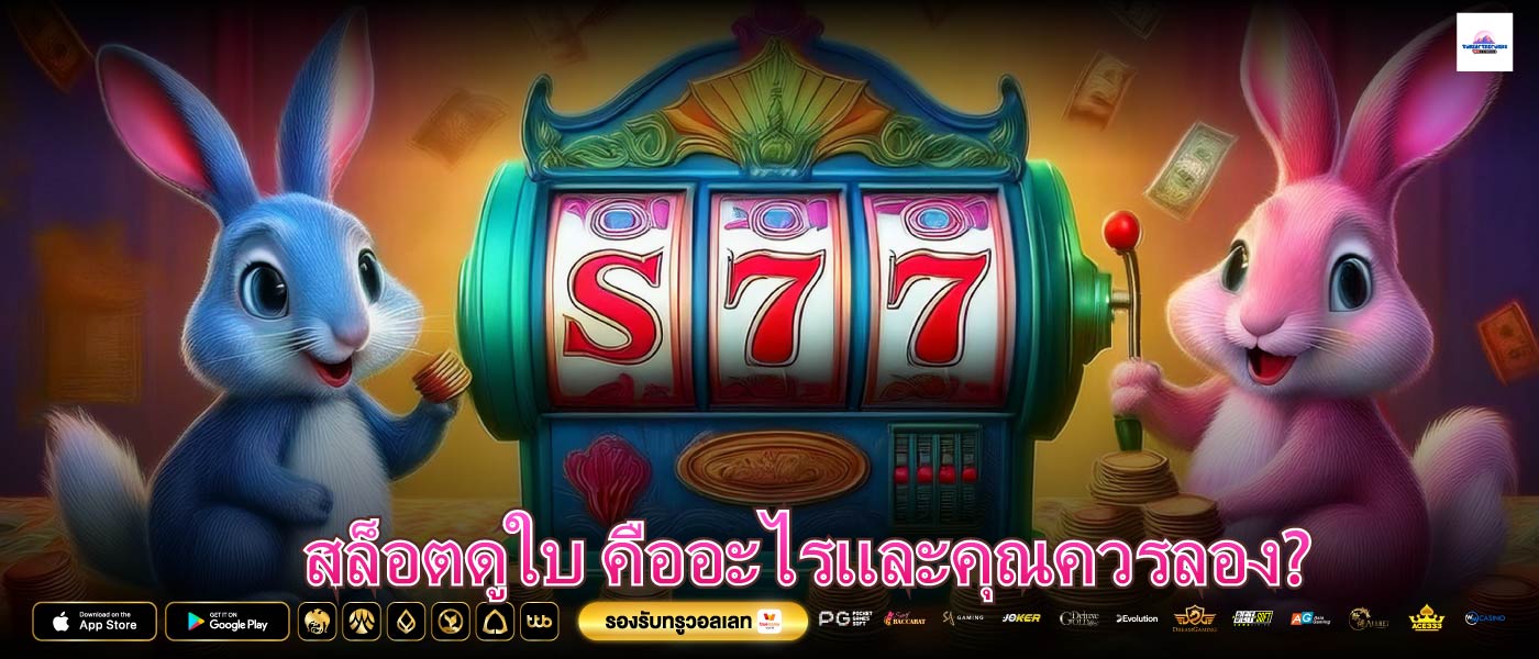 สล็อตดูใบ คืออะไรและคุณควรลอง?